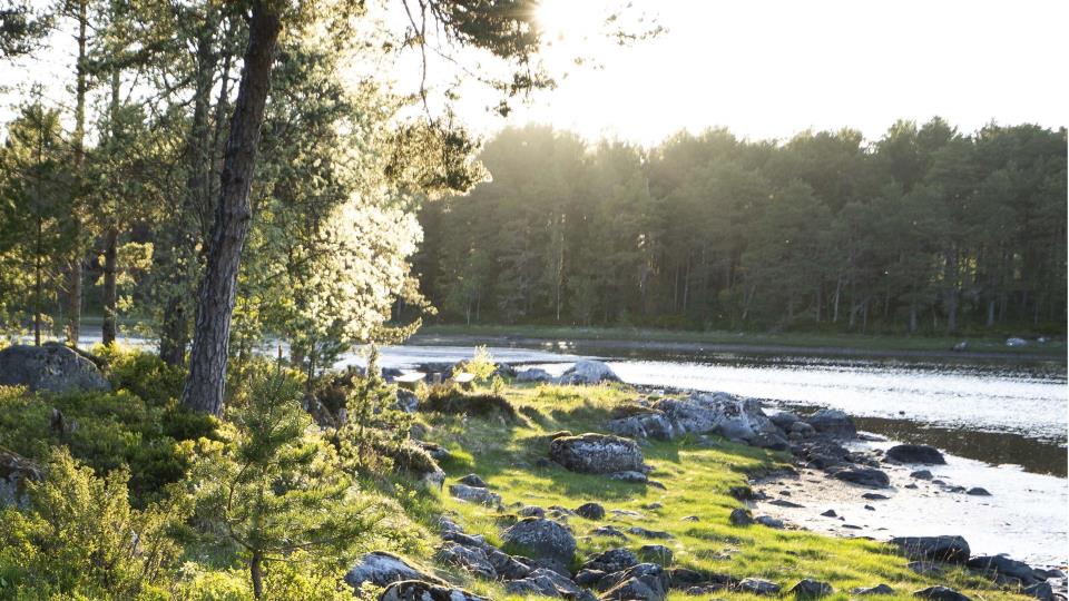 Lenkje til artikkel: Informasjon om feltarbeid i samband med kartlegging av naturmangfald
