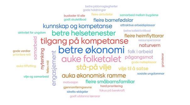 Ordsky over kva vi treng for å nå måla våre. Økonomi, kompetanse og fleir folk peikar seg ut. - Klikk for stort bilete