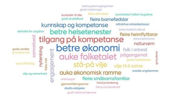 Ordsky over kva vi treng for å nå måla våre. Økonomi, kompetanse og fleir folk peikar seg ut. - Klikk for stort bilete